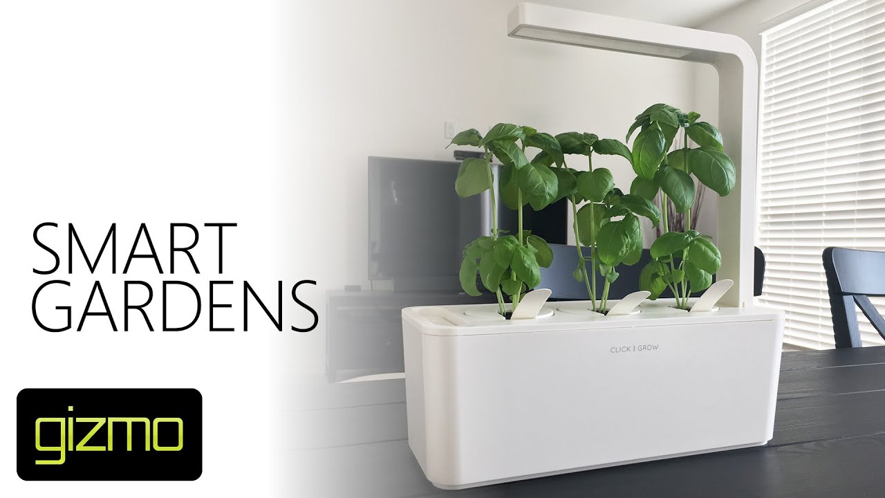 Click Grow Smart Garden Review YouTube