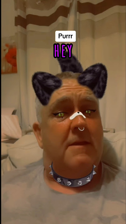 IM REALLY JUST A CAT SONG!!!!