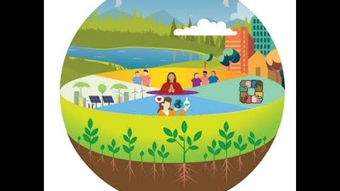 Honoring the 7 Directions: An Indigenous Framework for Designing and Evaluating Systems Change