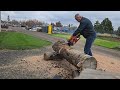 572xp test cuts @uncleLarrys_shop