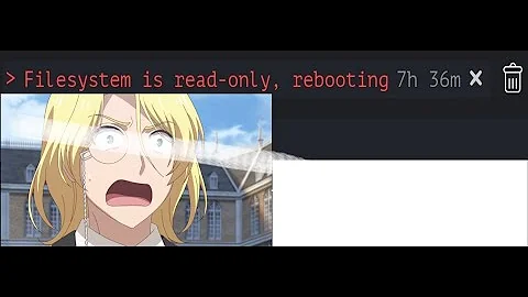 Filesystem is read-only, rebootin HIVEOS (SOLUCIÓN)