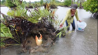 Lucky  Found Giant Mud Crabs In Holes While Raining
