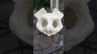 Vlog of me making a kemono fursuit head #furry #fursuit #fursuitmaking #kemono #headbase #buckethead