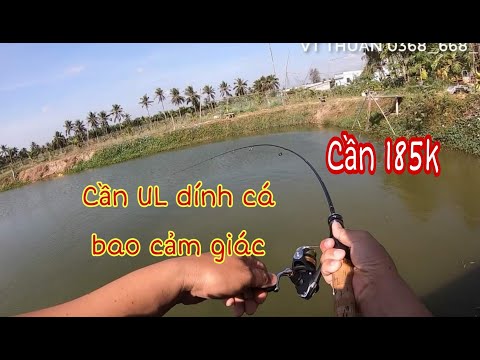 Xách cần UL 185K đi câu thử hồ dịch vụ lure cá lóc