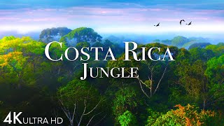 Costa Rica Jungle 4K - Beautiful Tropical Rainforest with Exotic Wildlife | Scenic Relaxation Film