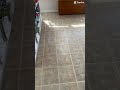 Today’s transformation #deepclean #tiles #bathroomdeepclean #work #cleantok