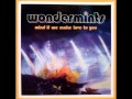 Wondermints - If I Were You