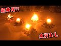 驚きの発光力！点灯むし 全5種 開封レビュー【ガチャガチャ】おもちゃ
