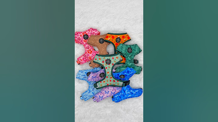 The perfect gift for your pup 🐾 #dogaccessories #dogharness #smallbusiness #dogs #christmasdog #dog