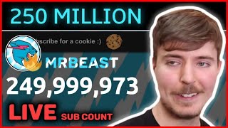 MRBEAST HITTING 250 MILLION!! (LIVE Sub Count)