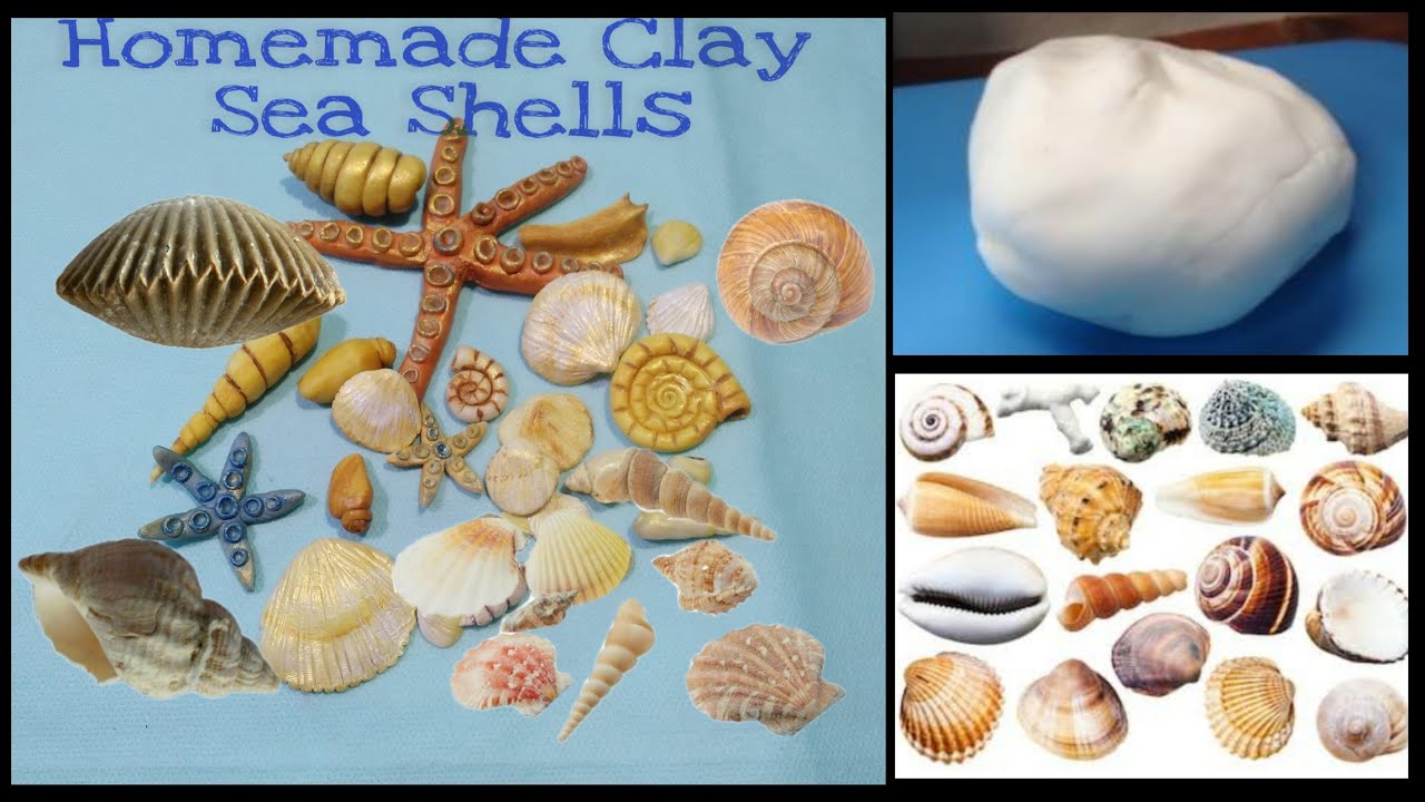 Make a sea shell air dry clay watercolour palette – Mont Marte Global