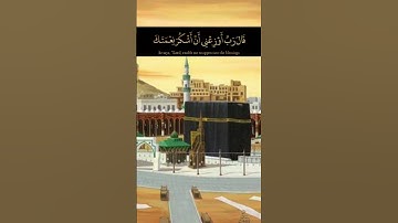 سورة الأحقاف | وديع اليمني | تلاوة هادى وخاشعة وجميلة