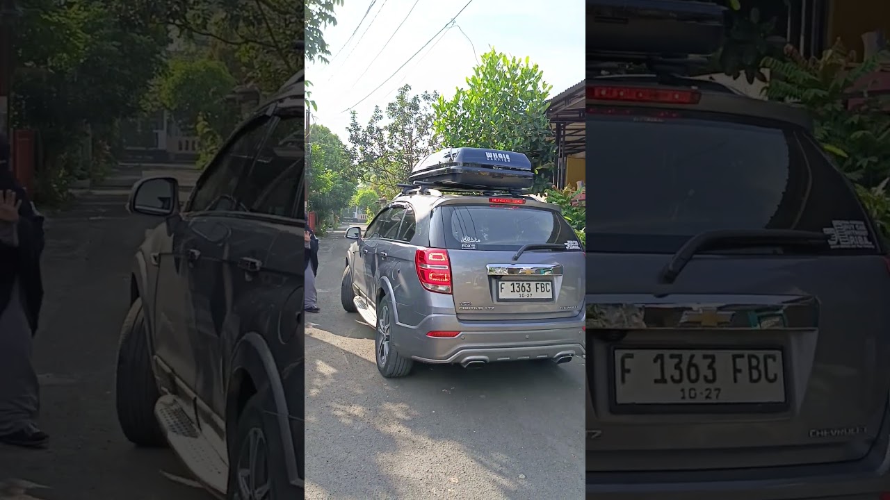 Whale Overlander again!!!