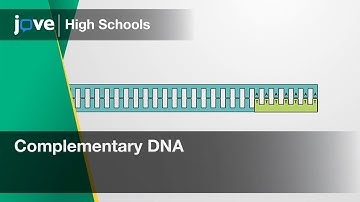 Complementary DNA | Bio | Video Textbooks - Preview