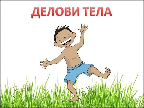 Učimo delove tela