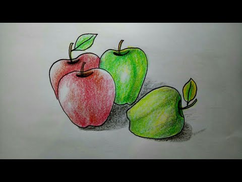  Cara  Mewarnai  Buah Apel  Dengan  Crayon Moa Gambar