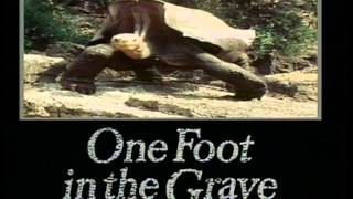 One Foot In The Grave (Intro)