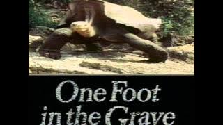 One Foot In The Grave (Intro)