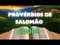 PROVÉRBIOS 7, 8, 9 e 10 ÁUDIO/ BÍBLIA FALADA