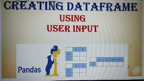 Create Python Data frame using User Input
