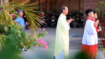 Rước kiệu Thánh Cả Giuse ngày 19-03-2019 ( tại Giáo Họ Giuse Cảnh - thuộc Giáo Xứ Tân Triều )