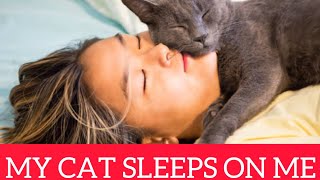 Why Does My Cat Sleep On Me ? by Smart Dog and Cat Lover 211 views 1 year ago 2 minutes, 24 seconds