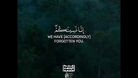 حالات واتساب قرآن🌸 سورة السجدة💙|القارئ عبد الرحمن مسعد
