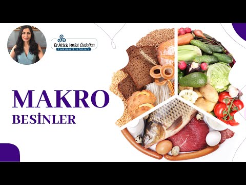 Dr Melek Vuslat ÖZDOĞAN - MAKRO Besinler Nedir?