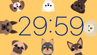 [30분] 귀여운 강아지 타이머(5분,2분 중간 알림)/정리&청소 타이머/30minute timer