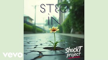 shockT project - Step in