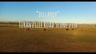 “Billaroy” Turanville Road Scone NSW 2337