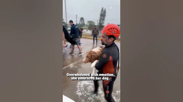 Woman is Reunited With Her Dog After Flood