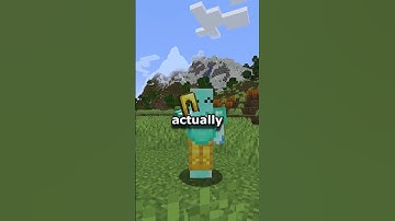 The Real View of Minecraft | First-person Model Mod