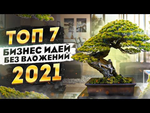 ТОП 7 Бизнес Идеи Без Вложений 2021. Бизнес с нуля. Бизнес без вложений. Бизнес 2021.