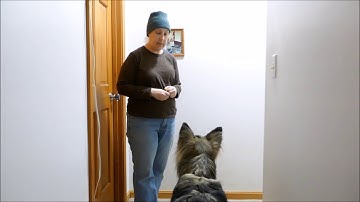 Marker Training Step 1:  Choosing and Teaching (Loading/Charging) the Mark