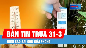 Bản tin trưa 31-3: Cả nước vào đợt nắng nóng diện rộng; Xâm nhập mặn Nam bộ ở cấp độ 2