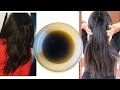 Here is The Best Oil  for  SUPER HAIR GROWTH | Home Made Growth Oil