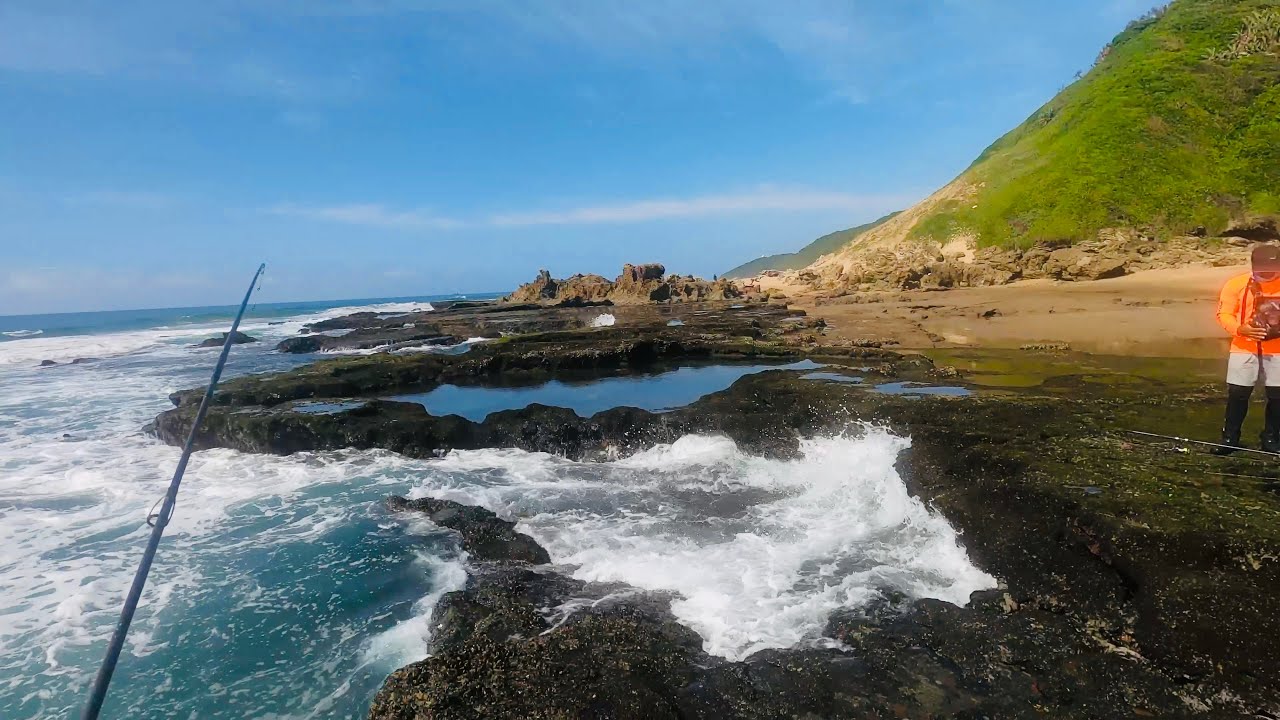 SHAD ARE BACK !!! Fishing South Coast Durban KZN