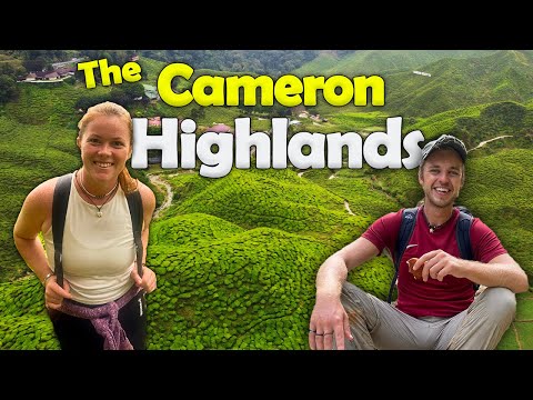 Vídeo: Explorando as terras altas de Cameron na Malásia de Tanah Rata