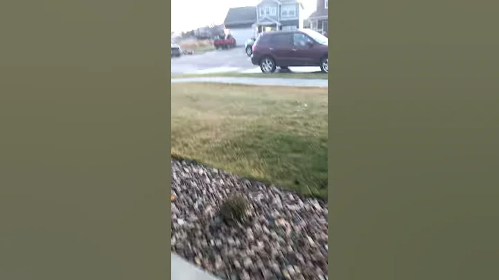 Surprise