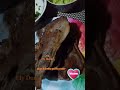 #sonora #slrc #decenar #micasatucasa