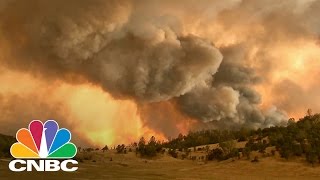The Big Crunch Forest Fires Cnbc