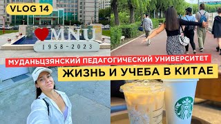 видео: 14. VLOG | УЧЕБА В КИТАЕ | МУДАНЬЦЗЯН | Как выучить китайский язык учась заграницей - жизнь студента картинка: 14. VLOG | УЧЕБА В КИТАЕ | МУДАНЬЦЗЯН | Как выучить китайский язык учась заграницей - жизнь студента