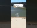 كيف تتخلص من زوجتك في أقل من دقيقه كيف تتخلص من زوجتك في أقل من دقيقه
