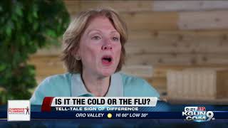 Consumer Reports: Is it a cold or the flu? Information