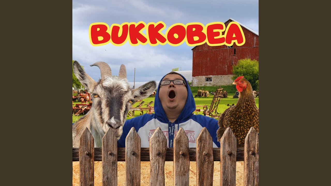 Watch Bukkobea on YouTube Watch Bukkobea on YouTube