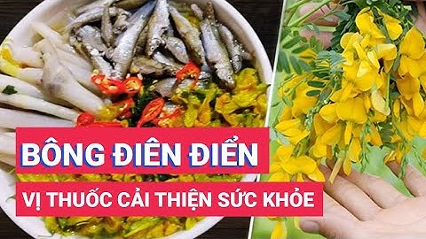 BÔNG ĐIÊN ĐIỂN được xem như một vị thuốc có thể cải thiện sức khỏe