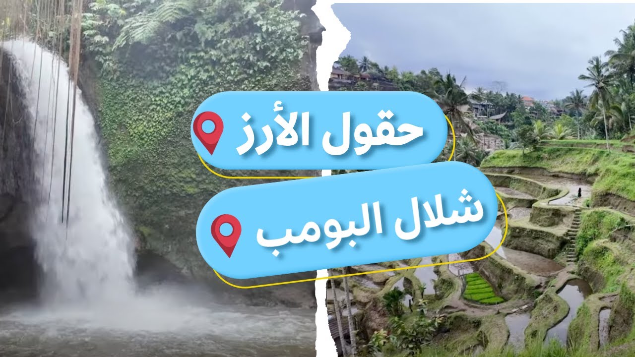 رحلتي في بالي | حقول الأرز الخيالية وشلال بومب والسوق الشعبي