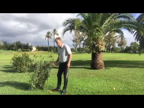 New Rules of Golf 2019, El Paraiso Golf Club, searching for a lost ball
