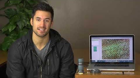 Carson Optical Zpix Digital Microscope MM-940